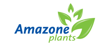Amazone Plants