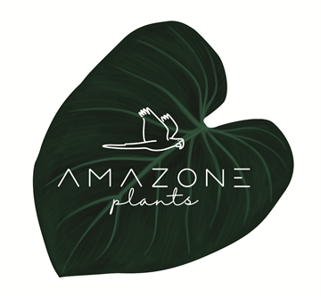 Amazone Plants.jpg