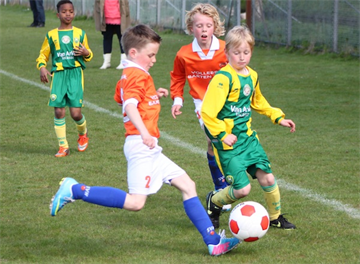 2013-04-27_6_E1.jpg
