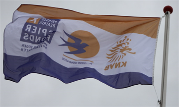 Zwaluwen6.JPG