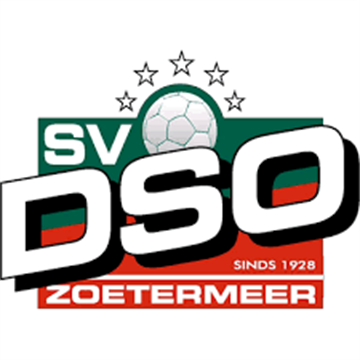 DSO logo.png